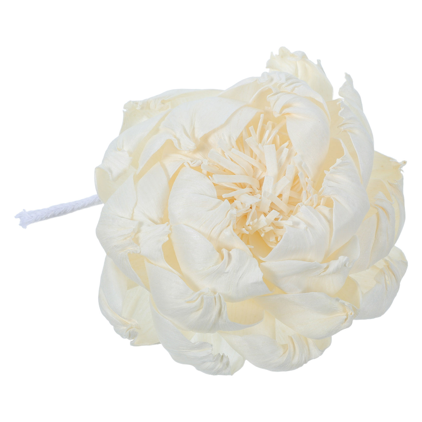 Diffuseur de parfum tête de pi - Home Fragrance Flowers avis et prix